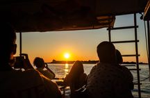 Brijuni Dolphin Sunset Cruise with DINNER & DRINKS
