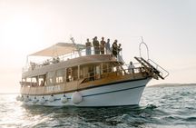 Brijuni Dolphin Sunset Cruise with DINNER & DRINKS