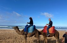 Luxury Private Tour in Tangier 5 hours with camel ride