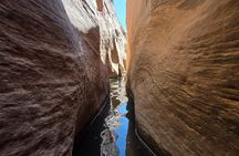Remote Water-Filled Slot Canyon Adventure