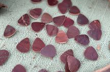 Jewelry creations with Palm Springs Flower Petals