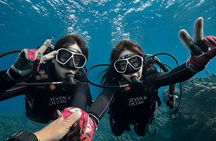 【Okinawa】 Blue Cave Guided Dive No License Needed