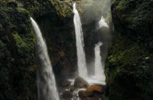 Jurassic Canyon Waterfall Adventure