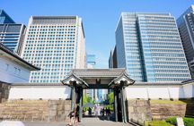 Private Tokyo Castle and Imperial Palace Shogun Walking Tour