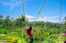 Ubud Premium Private Tour: Waterfalls, Swing & Lunch