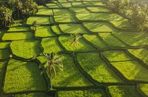 Ubud Premium Private Tour: Waterfalls, Swing & Lunch