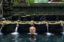 Ubud Premium Private Tour: Waterfalls, Swing & Lunch