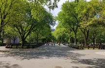 Walking Tour of Central Park With Private Local Guide