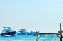 Private Speedboat Trip Dolphin House, Snorkeling and White Island