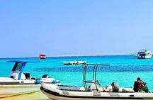 Private Speedboat Trip Dolphin House, Snorkeling and White Island