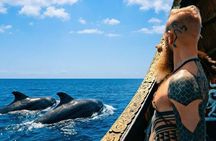 Tenerife Whale and Dolphin Watching + SWIM STOP