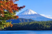 2 Days, 1. Mt.Fuji & 2. Hakone Private Tour from Tokyo Customizab