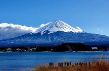 2 Days, 1. Mt.Fuji & 2. Hakone Private Tour from Tokyo Customizab