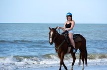 Sharm El Sheikh Horse Riding Beach and Desert Mountain Adventure