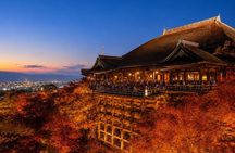 Kyoto Private Car Charter with English Driver Flexible Itinerary