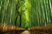 Kyoto Private Car Charter with English Driver Flexible Itinerary