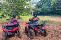 5 Day Jamaica Getaway with Tours in Montego Bay