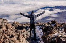Private Mount Kilimanjaro Day Hike: Shira Plateau or Marangu