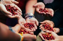 Kilimanjaro village walk, Waterfalls, Coffee tour & Local Lunch