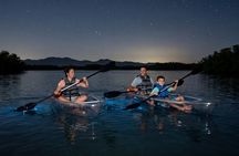 Vieques Bio Bay Kayak Experience From Mainland Puerto Rico