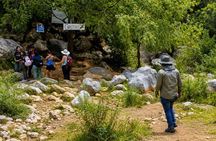 Apoala Waterfalls Hike with the Enchanted Lagoon