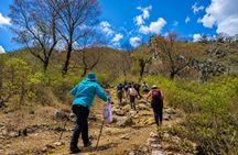 Apoala Waterfalls Hike with the Enchanted Lagoon