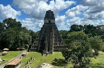 Explore Tikal with Birdwatching and Climbing Experience