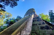 Explore Tikal with Birdwatching and Climbing Experience
