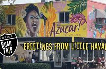 Private Half Day Sightseeing and Food Tour in Miami With Driver