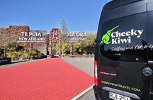 Auckland to Rotorua via Waitomo Caves Small Group Tour (One Way)