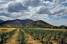 Bike Adventure Through Oaxaca to the Legendary Tule Tree