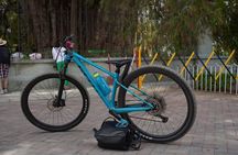 Bike Adventure Through Oaxaca to the Legendary Tule Tree