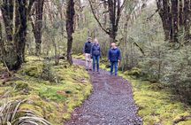 Lyttelton Shore Excursion: Arthur's Pass National Park Day Tour