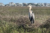 Masonboro Island Cruise