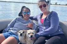 Masonboro Island Cruise