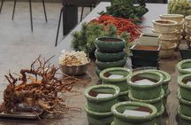 Osaka: Bonsai Making with a Local Guide
