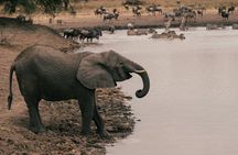 3-Day Camping Safari Tarangire, Ngorongoro and Lake Manyara