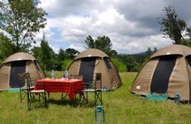 3-Day Camping Safari Tarangire, Ngorongoro and Lake Manyara