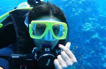 Tiran Island Snorkeling , Diving Cruise & Lunch - Sharm El Sheikh