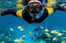 Swim with Dolphin and Snorkeling Adventure at Mnemba Island