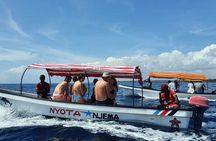 Swim with Dolphin and Snorkeling Adventure at Mnemba Island