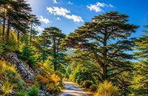 Private Qadisha Valley, Gibran Museum & Cedars Hike | From Beirut