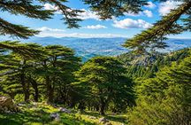 Private Qadisha, Cedars Hike & Baalbek | May–Oct · Local Guide