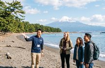Shizuoka/Shimizu Mt Fuji View 6 hr Private Tour: Guide Only