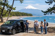 Shimizu Shore Excursion: Mt. Fuji View Tour, Licensed Guide