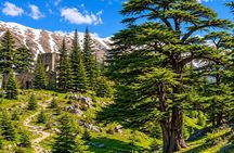 Private Qadisha Valley, Gibran Museum & Cedars Hike | From Beirut