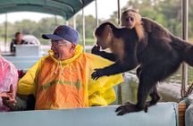 Panama Canal Boat Tour to Monkey Islands