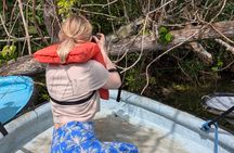 Panama Canal Boat Tour to Monkey Islands