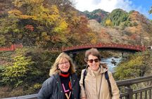 Nikko Day Trip from Tokyo: Customized Tour, Licensed Guide