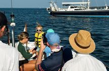 Private Half Day Sailing Charter in Portland Maine